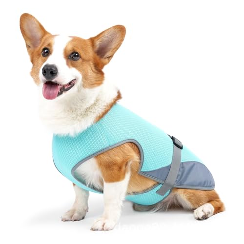 Gungtj Kühlgeschirr Für Hunde | Hundejacke Kühlweste Geschirr - UV-Schutz Verstellbares Outfit Für Kleine Mittel Welpen Wanderung Outdoor Reisen Camping von Gungtj