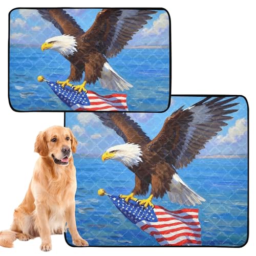 2 x Hundematten für den Boden, rutschfester Teppich für Flugzeugkäfige, 61 x 91,4 cm + 91,4 x 106,7 cm, Motiv: Flagge des Himmels 2 x Hundematten für den Boden, rutschfester Teppich für Flugzeugkäfige, 61 x 91,4 cm + 91,4 x 106,7 cm, Motiv: Flagge des Himmels von GuoChe