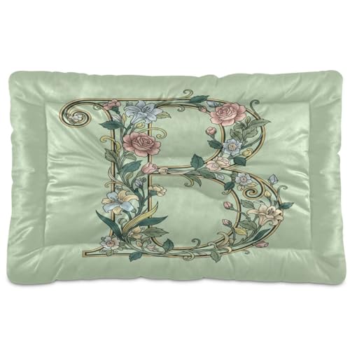 GuoChe Haustiermatte, waschbar, weich, bequem, rutschfeste Unterseite, für große, mittelgroße und kleine Hunde, 91,4 x 61 cm, Grün GuoChe Haustiermatte, waschbar, weich, bequem, rutschfeste Unterseite, für große, mittelgroße und kleine Hunde, 91,4 x 61 cm, Grün von GuoChe