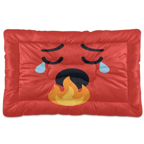 GuoChe Waschbares Haustierbett, weich, rutschfest, für große, mittelgroße und kleine Hunde, 91,4 x 61 cm GuoChe Waschbares Haustierbett, weich, rutschfest, für große, mittelgroße und kleine Hunde, 91,4 x 61 cm von GuoChe