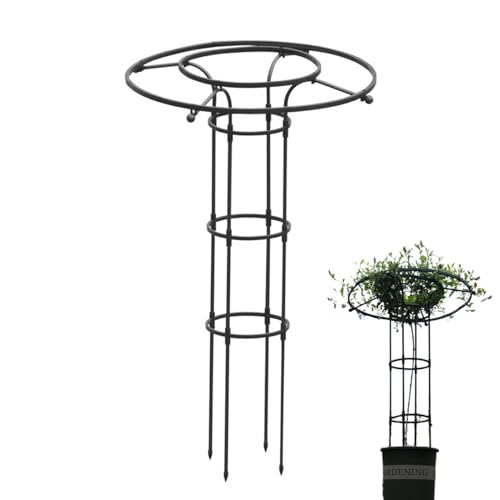 Gupcaqosjw Garten Rankgitter Für Kletterpflanzen,Vertikale Kletterhilfe Für Zimmerpflanzen | Metall Rankhilfe Mit Säulenform Für Blumen, Zimmerpflanzen & Rankgewächse Gupcaqosjw Garten Rankgitter Für Kletterpflanzen,Vertikale Kletterhilfe Für Zimmerpflanzen | Metall Rankhilfe Mit Säulenform Für Blumen, Zimmerpflanzen & Rankgewächse von Gupcaqosjw
