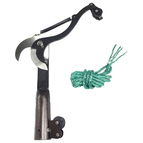Gupcaqosjw Hand Pruners | Robuste Gartenschere Für Sträucher Und Büsche | Bonsai-Pflegewerkzeug Mit Exakter Schnittführung & Ergonomischem Griff Für Gartenbau, Obstbaumpflege Und Veredelung Gupcaqosjw Hand Pruners | Robuste Gartenschere Für Sträucher Und Büsche | Bonsai-Pflegewerkzeug Mit Exakter Schnittführung & Ergonomischem Griff Für Gartenbau, Obstbaumpflege Und Veredelung von Gupcaqosjw