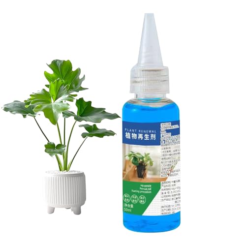Gupcaqosjw Pflanzen Wiederbelebungsflüssigkeit, Wachstumsflüssigkeit für Gartenpflanzen, 50ml Hauspflanzen Stärkungslösung Für Heimische Gärten Gewächshäuser Sukkulenten Gupcaqosjw Pflanzen Wiederbelebungsflüssigkeit, Wachstumsflüssigkeit für Gartenpflanzen, 50ml Hauspflanzen Stärkungslösung Für Heimische Gärten Gewächshäuser Sukkulenten von Gupcaqosjw