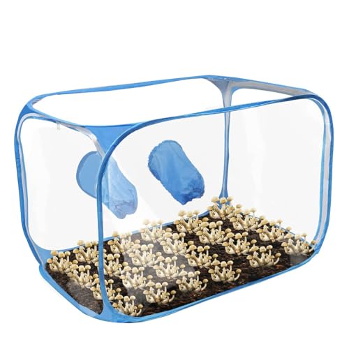 Gupcaqosjw Pilzzuchtzelt, Pilz Zuchtbox, Pop Up Pilzzuchtbeutel, Mushroom Still Air Box, Faltbare Wachstumsbehälter Pilzzuchtbeutel, Transparenter Pflanzbeutel Pilzzelt Für Anbau 91 X 59 X 58 cm von Gupcaqosjw