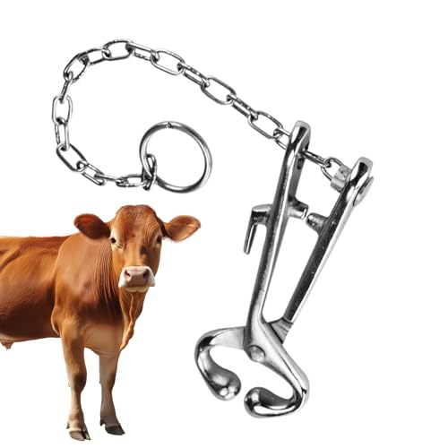 Gupcaqosjw Rinderzange - Edelstahl Rind Nasenklemme - Tierhaltungszubehör Für Landwirte, Haustierhaltung Und Einsteiger In Der Nutztierpflege Gupcaqosjw Rinderzange - Edelstahl Rind Nasenklemme - Tierhaltungszubehör Für Landwirte, Haustierhaltung Und Einsteiger In Der Nutztierpflege von Gupcaqosjw