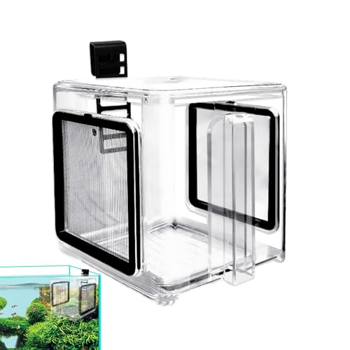 Gupcaqosjw Zuchtbox Für Aquarium - Aquarium Fischseparator | Acryl Trennwand Mit Zubehör Für Aufzucht Von Salzwassergarnelen, Guppys & Süßwasserfischen Gupcaqosjw Zuchtbox Für Aquarium - Aquarium Fischseparator | Acryl Trennwand Mit Zubehör Für Aufzucht Von Salzwassergarnelen, Guppys & Süßwasserfischen von Gupcaqosjw