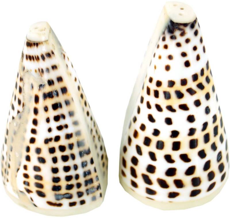 Guru-Shop Dekoobjekt Pfeffer- und Salzstreuer - Mare 2 von Guru-Shop