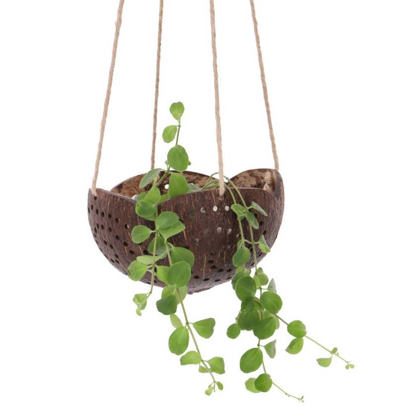 Guru-Shop Dekovase Kokosnuss Teelicht zum Hängen, natürlicher.. Guru-Shop Dekovase Kokosnuss Teelicht zum Hängen, natürlicher.. von Guru-Shop