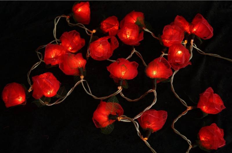 Guru-Shop LED-Lichterkette Blüten LED Lichterkette - 20 Stk Rose dunkelrot von Guru-Shop