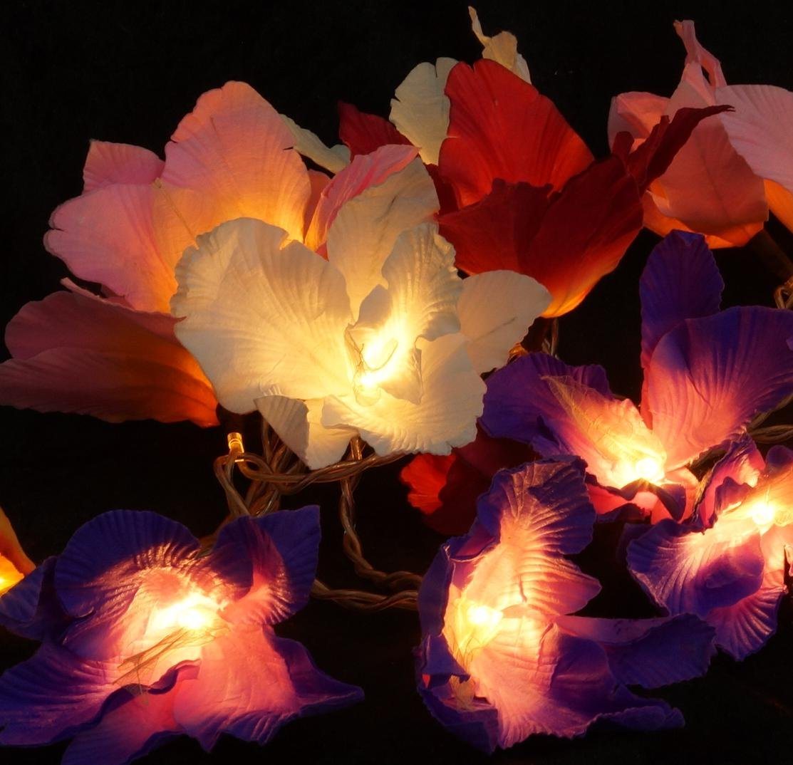 Guru-Shop LED-Lichterkette Lotus Blüten LED Lichterkette. - Blüte bunt Guru-Shop LED-Lichterkette Lotus Blüten LED Lichterkette. - Blüte bunt von Guru-Shop