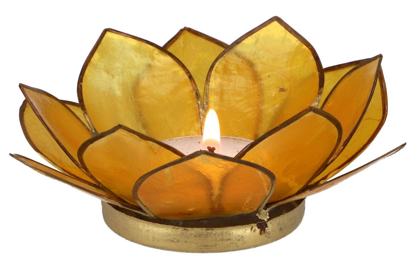 Guru-Shop Windlicht Lotus Teelicht Muschel 11*4 cm - goldgelb von Guru-Shop