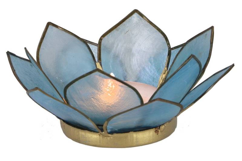 Guru-Shop Windlicht Lotus Teelicht Muschel 11*4 cm - himmelblau von Guru-Shop