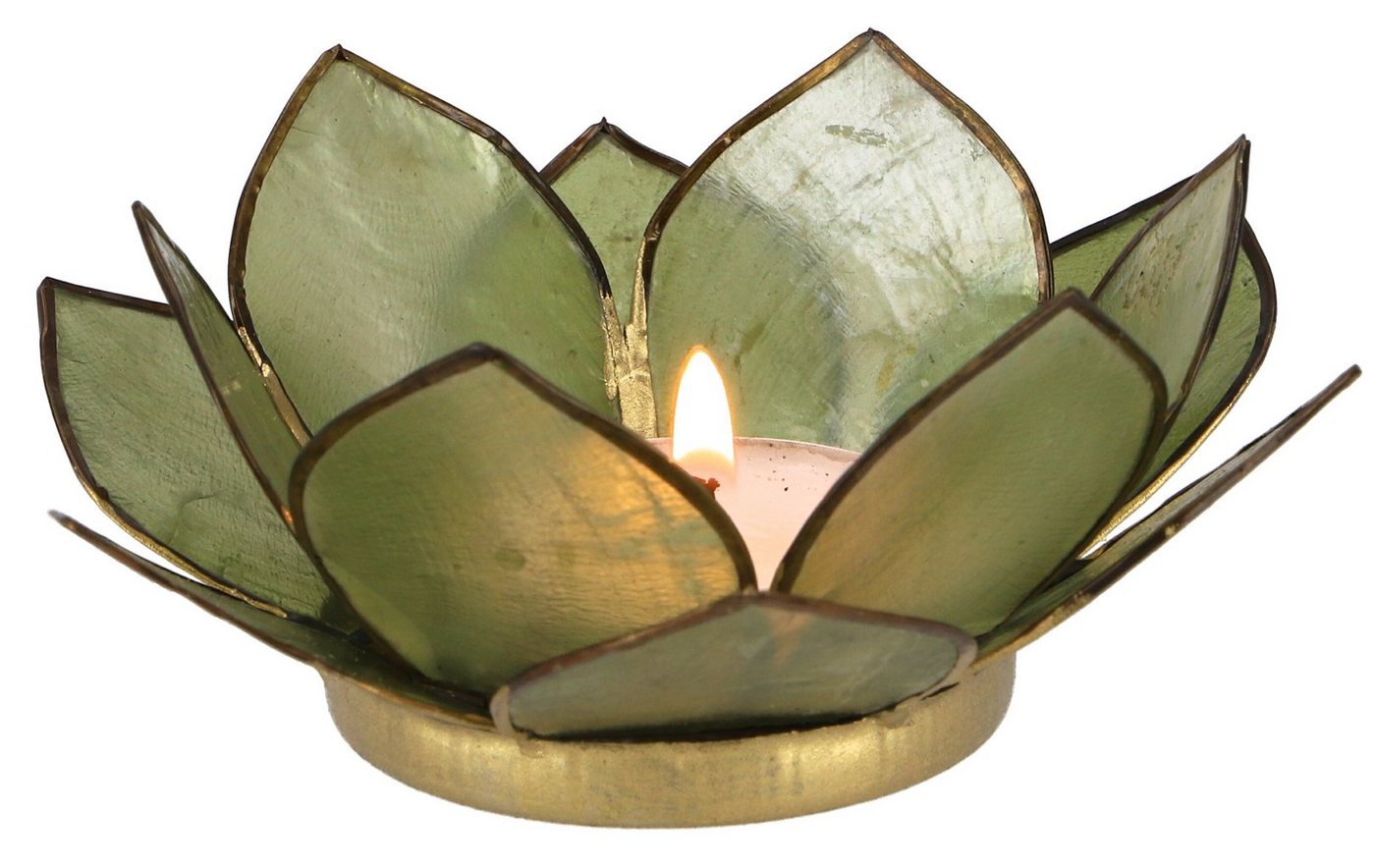 Guru-Shop Windlicht Lotus Teelicht Muschel 11*4 cm - olivgrün von Guru-Shop