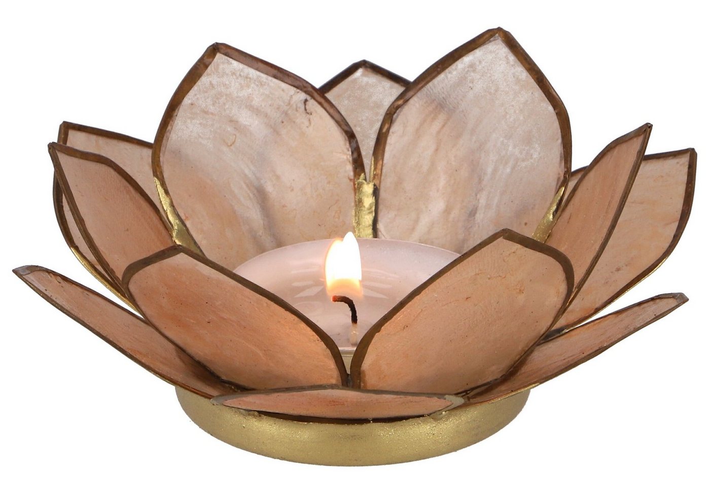 Guru-Shop Windlicht Lotus Teelicht Muschel 11*4 cm - sandfarben von Guru-Shop