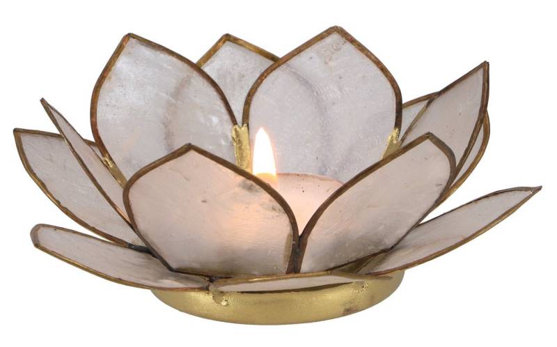 Guru-Shop Windlicht Lotus Teelicht Muschel 11*4 cm - weiß von Guru-Shop