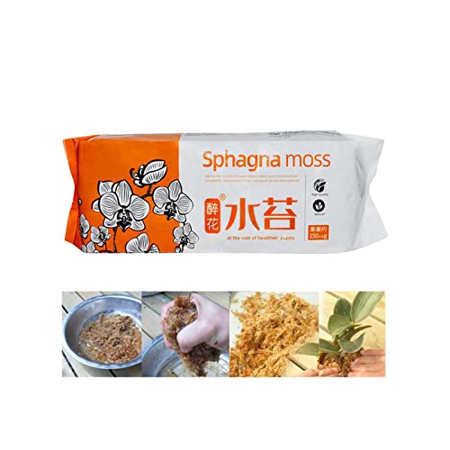 Gusengo 150g Sphagnum Moos Pflanzen, Torfmoos Moos, Orchideen Moos, Wassermoos Trockenmoos Wasser Gras Substrat Für Orchidee Phalaenopsis, Trocknen Wasser Gras Substrat Für Pflanzen von Gusengo