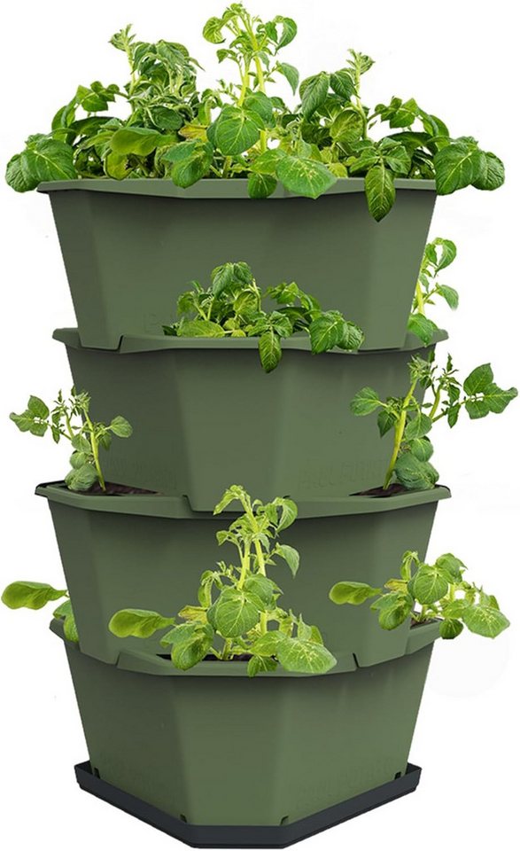 Gusta Garden Hochbeet PAUL POTATO Starter (effizienter Kartoffelanbau inkl. Schädlingsschutz), Kartoffelturm mit 4 Etagen und Untersetzer, dunkelgrün von Gusta Garden