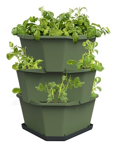 GUSTA GARDEN Paul Potato Kartoffelturm 3 Etagen Dunkelgrün - Hochbeet Turm Kartoffeln - Garten & Balkon - Schädlingsschutz - 0,2m² - 56L Erdvolumen von GUSTA GARDEN