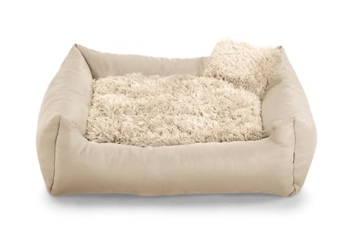 Gutekissen® Hundebett aus weichem Material, gefüllt mit Polyurethanschaum, Plüschkissen, schmutzabweisend, kleines Kissen inklusive. FN (L - 90x75, Creme) von Gutekissen