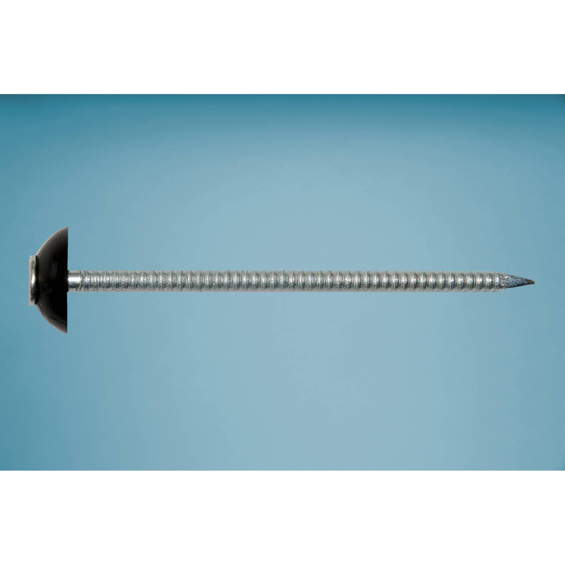 Gutta Nägel schwarz 50 Stück, für Shelltec-Dachplatten Gutta Nägel schwarz 50 Stück, für Shelltec-Dachplatten von Gutta