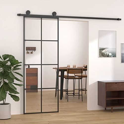 GuyAna Schiebetür Schwarz 76x205 cm ESG Glas und Aluminium GlastüR Komplettset RaumspartüR von GuyAna