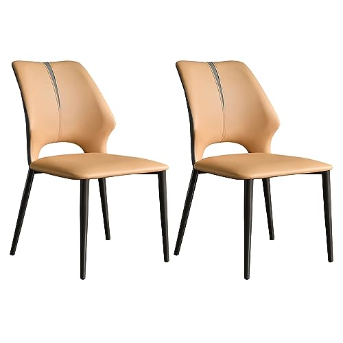 Guyifuny Esszimmerstühle, 2er-Set, gepolsterter Stuhl aus Kunstleder, Moderne Esszimmerstühle für Küche, Esszimmer, Wohnzimmer von Guyifuny