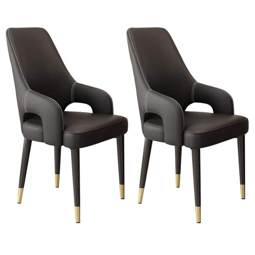 Guyifuny Esszimmerstühle 2er-Set, moderner Akzentstuhl mit gepolstertem Sitz aus PU-Leder für Esszimmer, Restaurant, Küche, Wohnzimmer, Café, Schwarz Guyifuny Esszimmerstühle 2er-Set, moderner Akzentstuhl mit gepolstertem Sitz aus PU-Leder für Esszimmer, Restaurant, Küche, Wohnzimmer, Café, Schwarz von Guyifuny