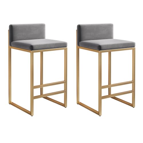 Guyifuny Küchenthekenhocker mit Rückenlehne 2er-Set Barstühle für Kücheninsel mit goldenen Beinen Barhocker für Kücheninsel Zuhause Esszimmer Grau 75 cm von Guyifuny