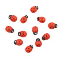 Marienkäfer-Kühlschrankmagnet 4Er Set Mit Geschenkbox. Geschenk Für Lehrer, Regal-Füller, Neodym-Magnete. Hergestellt in Großbritannien Marienkäfer-Kühlschrankmagnet 4Er Set Mit Geschenkbox. Geschenk Für Lehrer, Regal-Füller, Neodym-Magnete. Hergestellt in Großbritannien von GuysMagnets