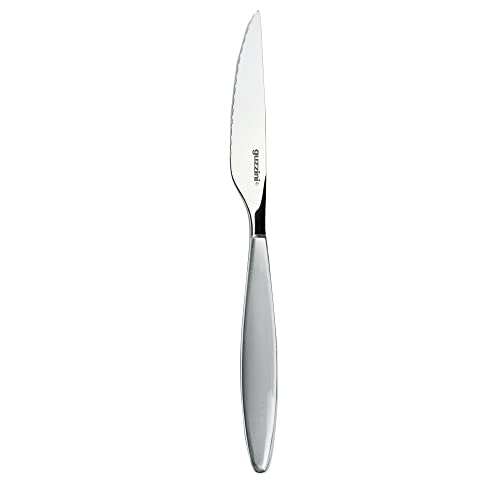 Guzzini - Feeling, Steakmesser - Himmelgrau, 22,5 cm - 23001092 von Guzzini