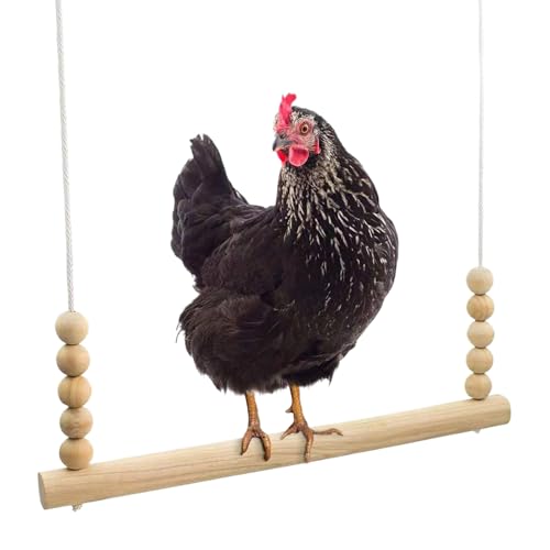 Chicken Swing, Wooden Poultry Toy, Perch Ladder Accessory, Stable Hanging Design, Safe Play Solution, Fun Enrichment Tool, Perfect for Hens, Roosters, Parrots, Farm, Backyard, 17.72x14.96x0.39 inches von Gvblkq