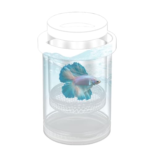 Floating Fish Breeding Box, Clear Fish Tank Breeder, Betta Incubator Separator, Aquarium Hatching Tank for Shrimp and Guppy Fry Protection, 14.3 x 9.3cm von Gvblkq