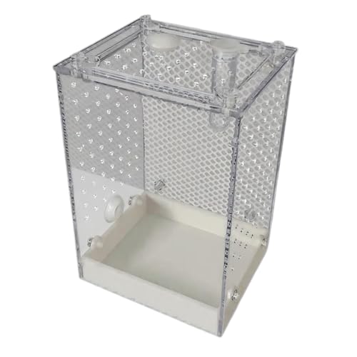 Mantis Habitat Container - Transparentes Insekten -Terrarium für die Fütterung | Acryl mit robustem Rahmen beatmter Gehäuse, ideal für Scorpions Raketes Crickets Mantis Zoo Klassenzimmer Hinterhof von Gvblkq