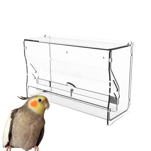 Quail Feeder, Automatic Bird Water Feeding Cup, Parakeet Feeder Box, Pet Cage Food, Dispenser, Perfect for Quail Budgerigar Parrot Cockatiel Canary Finch, Easy to Clean & Maintain von Gvblkq