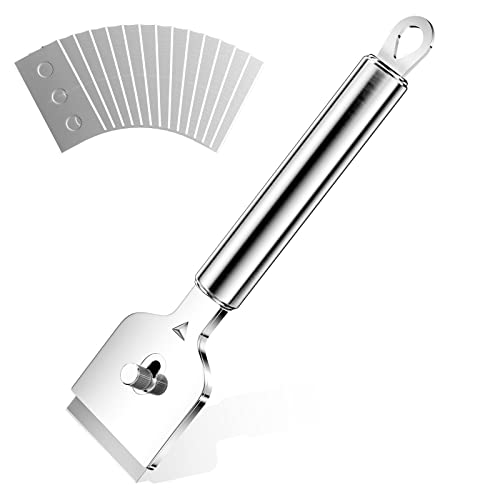 Gvolatee feldschaber mit ergonomischen Griff feldschaber Metall, Schaber feld mit 14Pcs Ersatzklingen, Glasschaber feld, Kochfeldschaber, feld Kratzer Entfernen für Reinigung Von Backofen Gvolatee feldschaber mit ergonomischen Griff feldschaber Metall, Schaber feld mit 14Pcs Ersatzklingen, Glasschaber feld, Kochfeldschaber, feld Kratzer Entfernen für Reinigung Von Backofen von Gvolatee