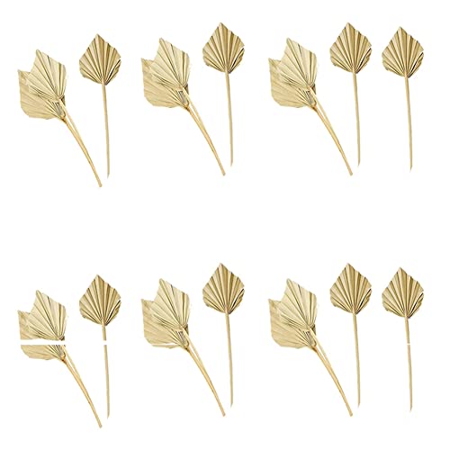 Gvvsjgdbis 20 Stück Boho Getrocknete Palmspeere Natürliche Getrocknete Palm FäCher Getrocknete Palm Blätter Getrocknetes Palm Blatt Palm FäCher Blatt mit Stiel Gvvsjgdbis 20 Stück Boho Getrocknete Palmspeere Natürliche Getrocknete Palm FäCher Getrocknete Palm Blätter Getrocknetes Palm Blatt Palm FäCher Blatt mit Stiel von Gvvsjgdbis