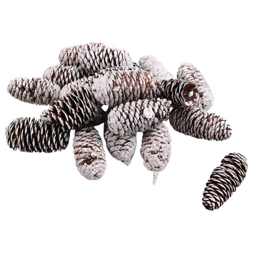 Gvvsjgdbis 20 Stück Tannenzapfen-Dekorationen, Natürliche Schnee-Tannenzapfen, Große Tannenzapfen, Weihnachts-Tannenzapfen-Ornamente Gvvsjgdbis 20 Stück Tannenzapfen-Dekorationen, Natürliche Schnee-Tannenzapfen, Große Tannenzapfen, Weihnachts-Tannenzapfen-Ornamente von Gvvsjgdbis
