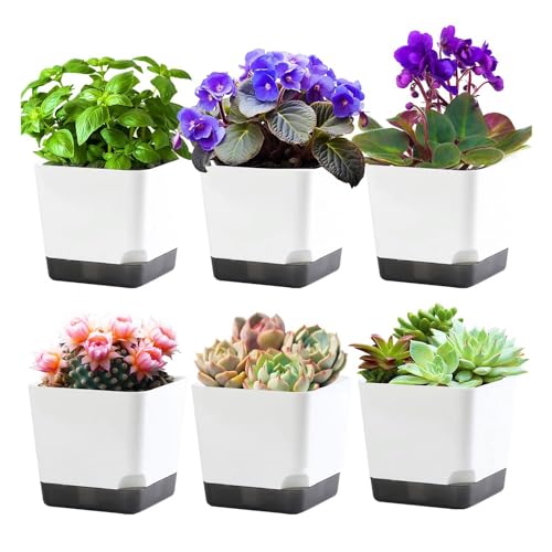 Gvvsjgdbis 9,9 cm große Blumentöpfe Set mit Drainageloch, 6 Stück, kleine Blumentöpfe für Zimmerpflanzen, Geschenkidee von Gvvsjgdbis