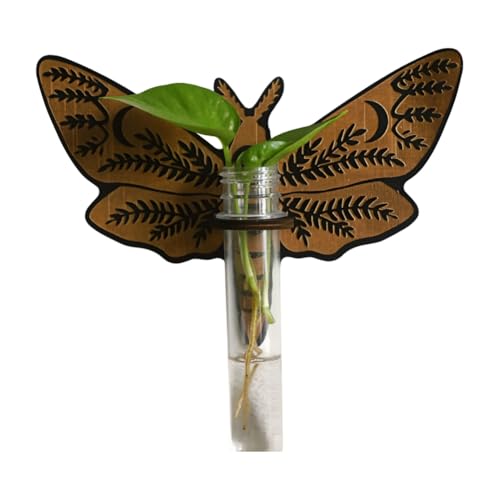 Gvvsjgdbis Butterfly Wandmontierte Zuchtstation Holz Hängende Pflanzenhalter Zimmerpflanzen mit Kunststoffröhren B von Gvvsjgdbis