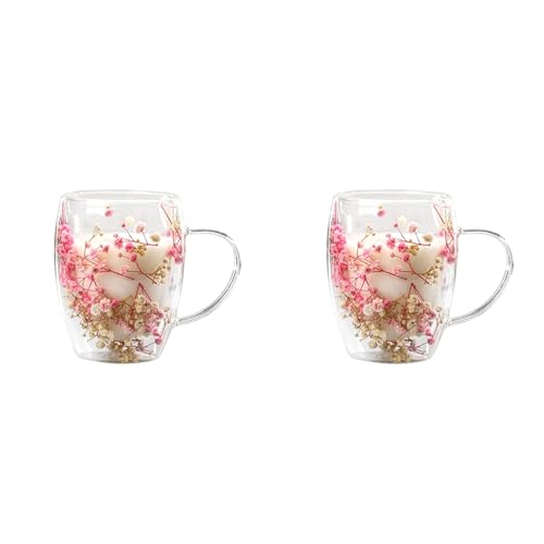 Gvvsjgdbis Creatives Doppelglas mit echten Blumen, hohe Optik, Vollstern-Trockenblumen, Milchkaffeeglas, 350 ml, Tasse A, 2 Stück von Gvvsjgdbis