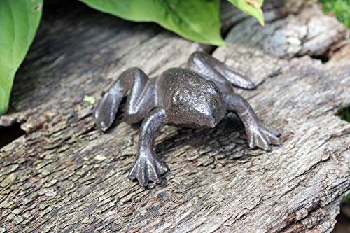 Gwenys Haus Gartenfigur Kleiner Frosch von Gwenys Haus