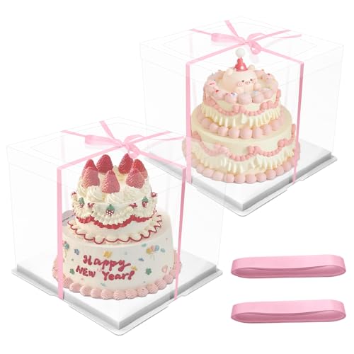 Gwezmxs 2 Stück Tortenbox Transparente, Acryl Durchsichtige Tortenschachtel, Tortenkarton für Geburtstag, Kuchenbox, Kuchenkarton Cake Transport Box (10inch, 30 * 30 * 25cm) von Gwezmxs