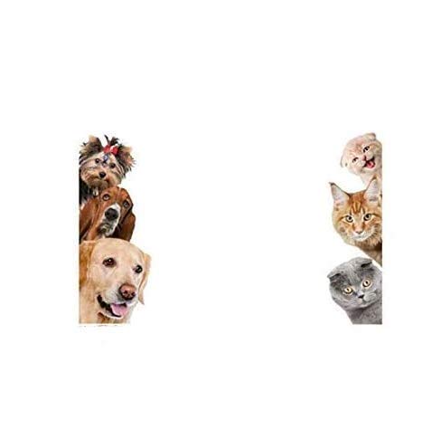 Gwill 2 Paket 3D Nette Hund Katze Wandaufkleber Schalter Aufkleber Wandbild Kunst Dekor Poster Hintergrundbild (A Style + B Style) von Bhgytec