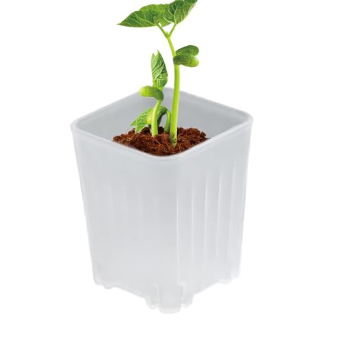 Gwtdtoad Anzuchttöpfe,Blumenkeimlings Töpfe - 10 Stück Kleine Anzuchttöpfe mit Abflusslöchern für Innen- und Außenbereich, Wohnzimmer, Garten, Zuhause, Schreibtisch, Balkon und Blumendekoration Gwtdtoad Anzuchttöpfe,Blumenkeimlings Töpfe - 10 Stück Kleine Anzuchttöpfe mit Abflusslöchern für Innen- und Außenbereich, Wohnzimmer, Garten, Zuhause, Schreibtisch, Balkon und Blumendekoration von Gwtdtoad