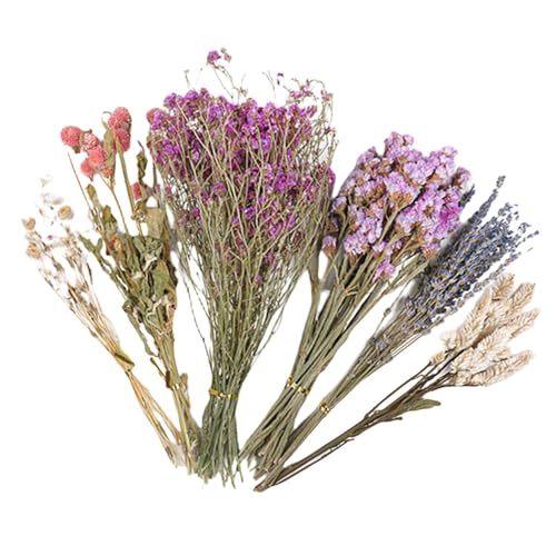 Gwtdtoad Hamster Heublumen Einstreu Natürlich Getrocknete Blumen Und Pflanzen Hamster Einstreu, Geblümtes Hamsterkäfig Zubehör Für Sommer Desodorierungs Und Landschafts Zubehör 25 cm von Gwtdtoad