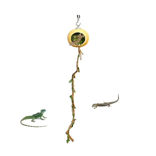 Gwtdtoad Versteckdekoration Für Springspinnen Terrarium,Versteck Unterschlupf für Springspinnen | Terrarien Habitat Verstecke Zubehör Für Reptilien Glattechsen Gliederfüßer von Gwtdtoad