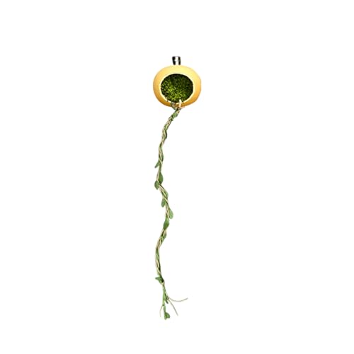 Gwtdtoad Zubehör Für Springspinnen Terrarium | Versteck Unterschlupf für Springspinnen - Terrarien Habitat Verstecke Zubehör Für Reptilien Glattechsen Gliederfüßer von Gwtdtoad