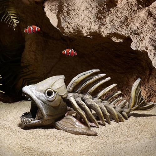 Gxdamxz Aquarium Deko Höhle Steine Dekoration, Versteck für Wassertiere zum Spielen, Züchten & Ausruhen, Fischskelett Gxdamxz Aquarium Deko Höhle Steine Dekoration, Versteck für Wassertiere zum Spielen, Züchten & Ausruhen, Fischskelett von Gxdamxz