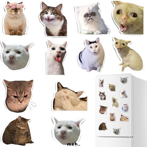 Gxdamxz Katzen Meme Fridge Magnet Kühlschrank Set, Kühlschrankmagnete Süß Lustig, 12 Stück Gxdamxz Katzen Meme Fridge Magnet Kühlschrank Set, Kühlschrankmagnete Süß Lustig, 12 Stück von Gxdamxz