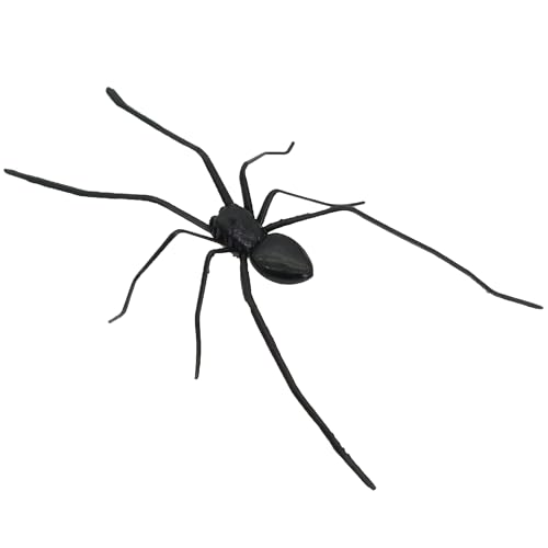 Gxdamxz Magnetic Spiders Realistic, Spinnen Deko für Kühlschrank mit Metalloberfläche, Schwarz von Gxdamxz